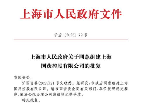 上海市政府批準成立注冊資本130億元新國企，聚焦計算機軟硬件技術研發